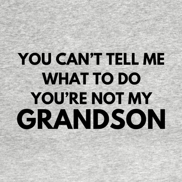 You Can't Tell Me What To Do You're Not My Grandson by aesthetice1